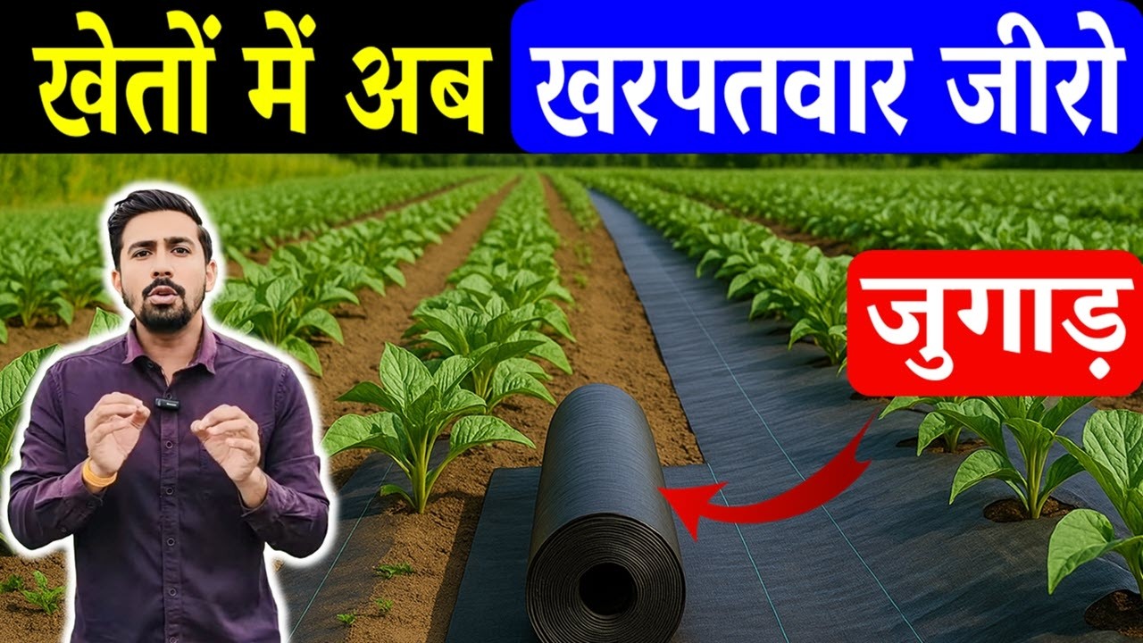 खरपतवार का 100% इलाज | What is Weed Mat | Benefits of Weed Mat In Farming