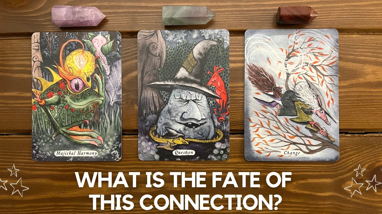 What is the Fate of this Connection? ✨👩‍🔬👨‍🎤✨ | Timeless Reading