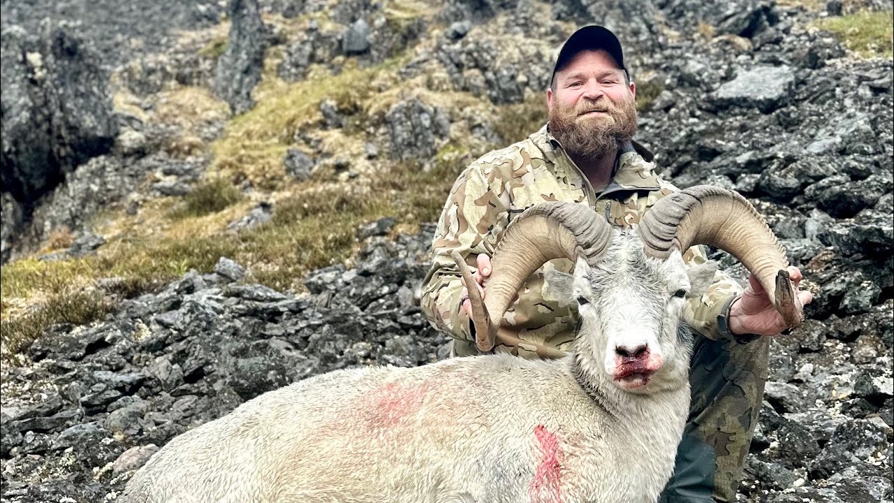 Diary of a DIY Sheep Hunter! Adam's Dall Sheep - Stuck N The Rut 209