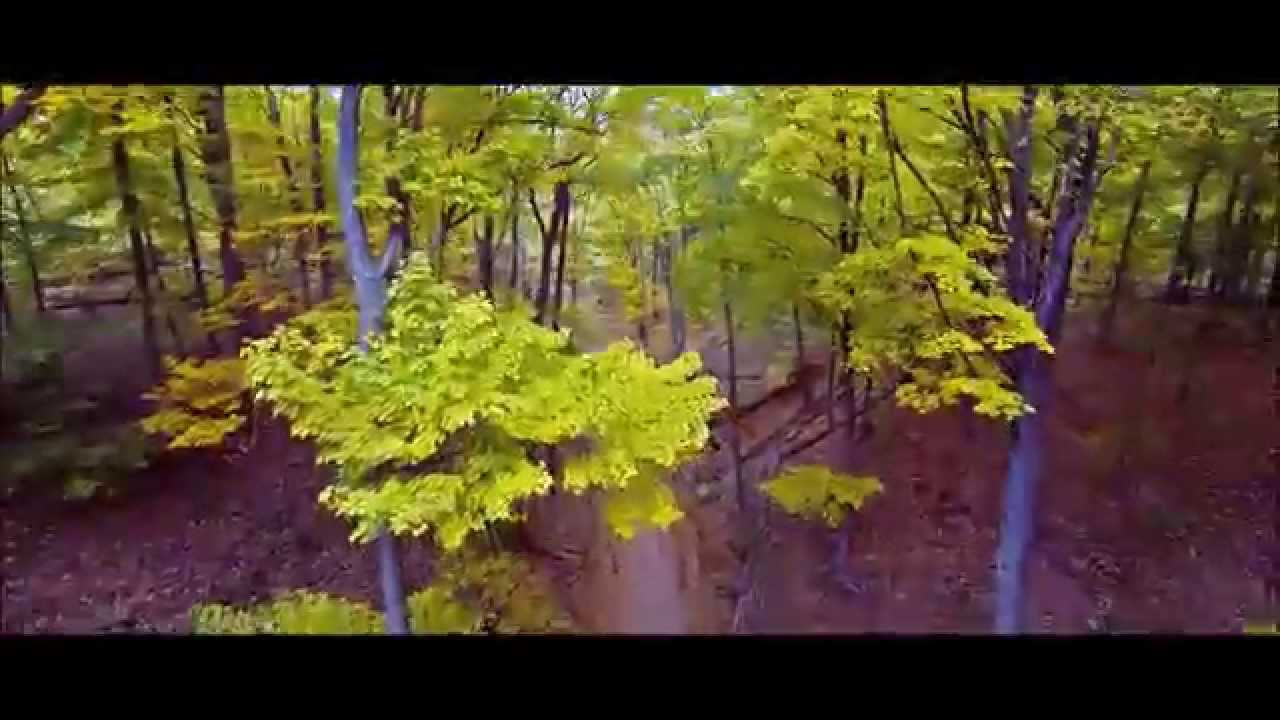 Cootes Paradise Hamilton Ontario