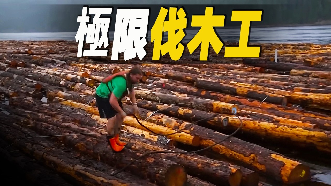 走進加拿大荒原極限伐木工人的生活，木材產業養活了12萬名從業者，創造年收入達110億加元 #大脑洞记事