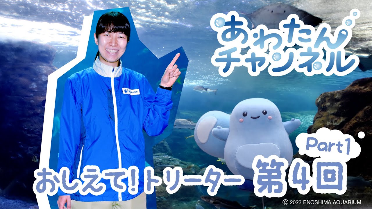 おしえて！トリーター　第4回「さがみわんだいすいそうのおはなし」Part1