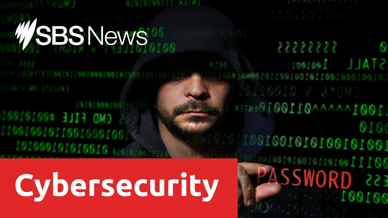 Almost one in three Australian adults were affected by cybercrime last year