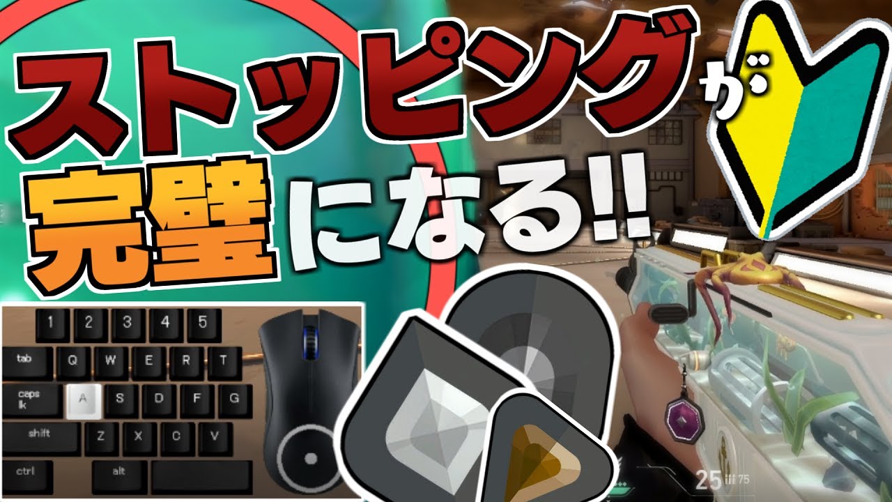 【 シルバー帯以下必見！ 】ステップごとだから今より劇的に上手くなる「ストッピング」と更に確実に差がつく「半歩ピーク」を解説！【 VALORANT / ヴァロラント 】