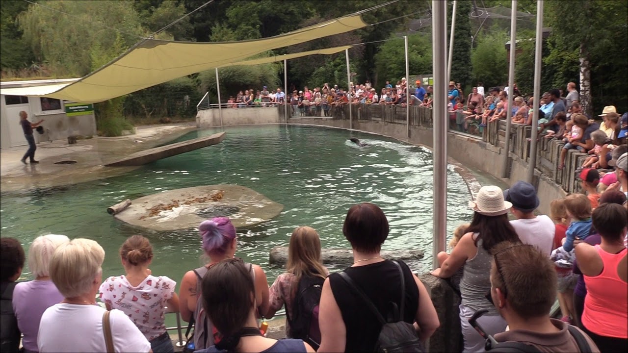 ZOO  Augsburg  2018