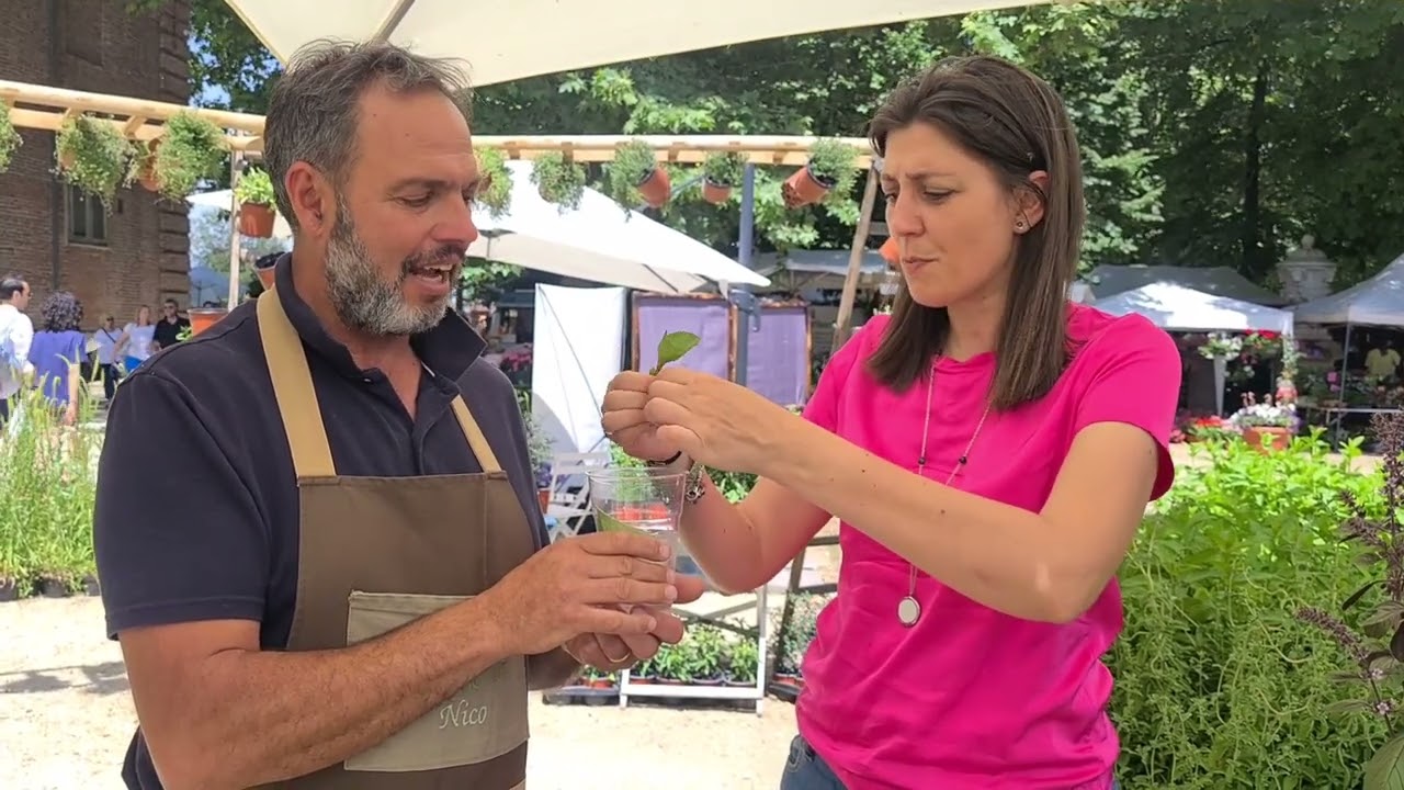 ACQUA AROMATIZZATA | acqua rinfrescante con erbe aromatiche