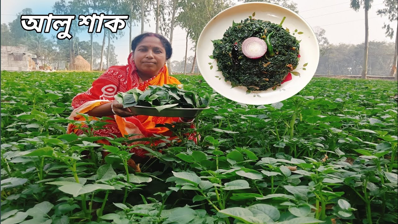 নিজের বাড়ির খেতের অতী সুস্বাদু আলুর শাক রান্না করে দেখালাম||Potato And Vegetable Recipe
