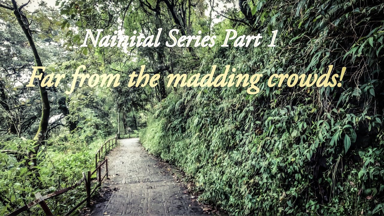 Far from the madding crowds! A great walk on Ayarpatta Hills Nainital 4K 60fps #nainital