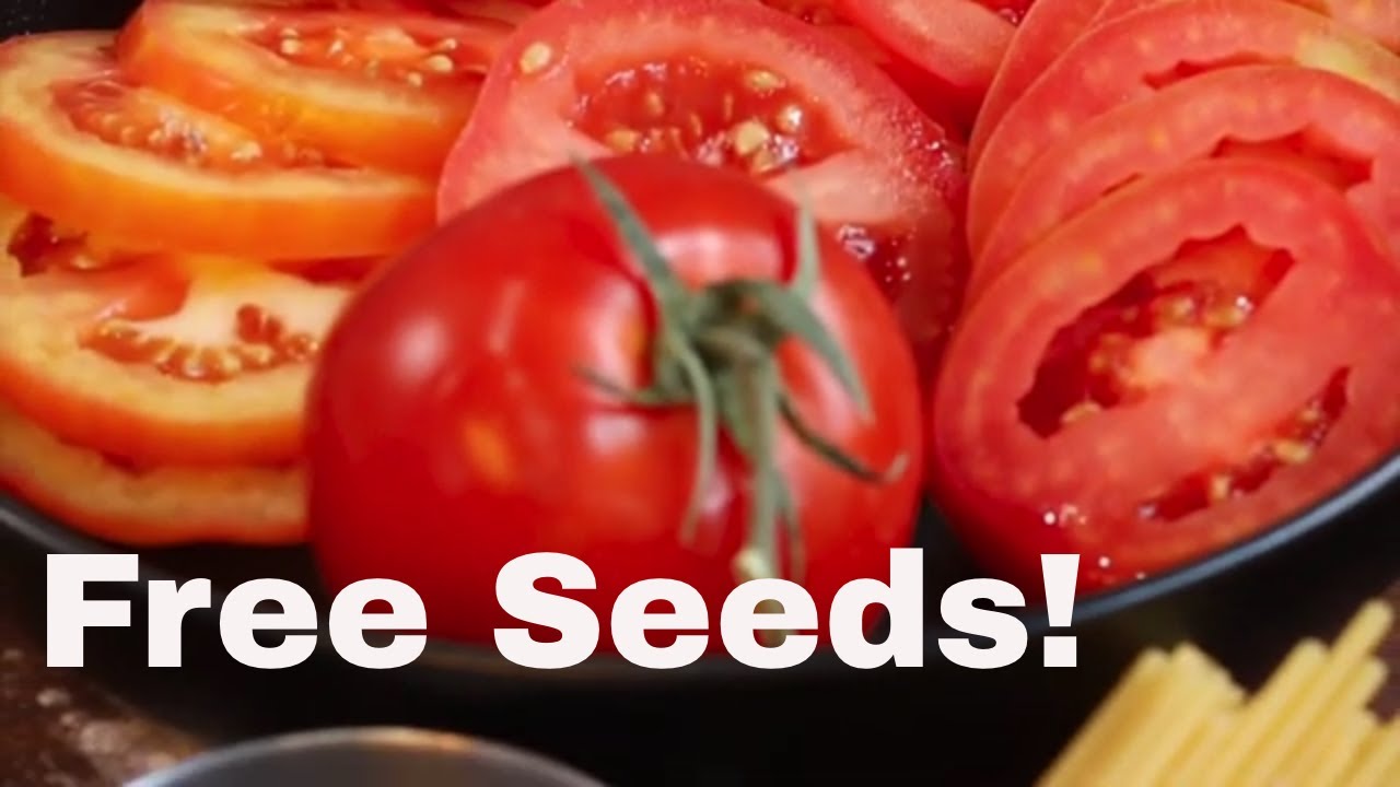 2023 Free Seed Giveaway - Part 4 - Floridade Tomato Seeds