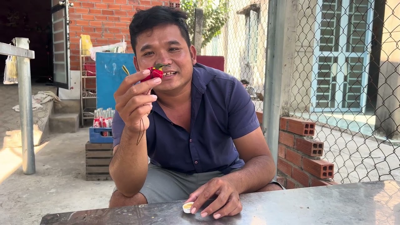Cách Thuần Cám Cho Hút Mật Dô Cám Cho Hút Mật Cực Nhanh Hiệu Quả An Toàn #chimhutmattayninh