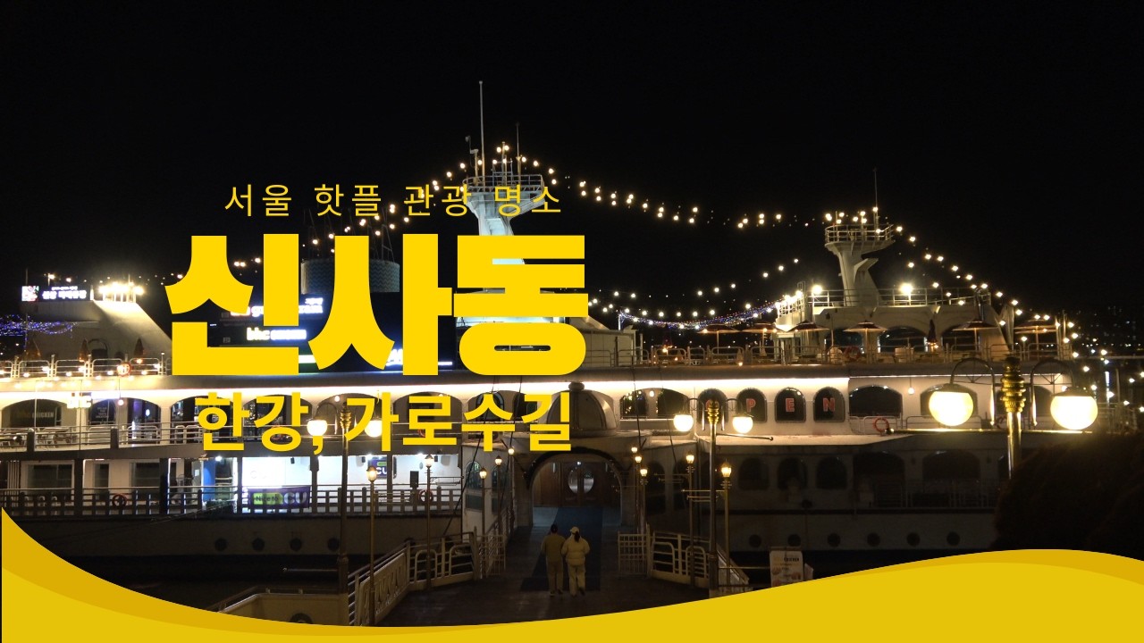 Shinsa Garosu gil & Han River Night Vi