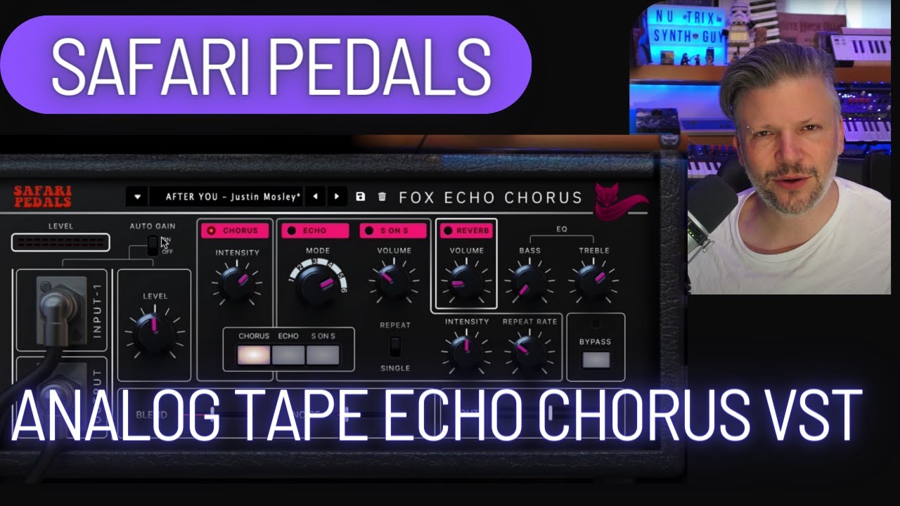 Safari Pedals: Your sound With Fox Echo  Chorus #vstplugin