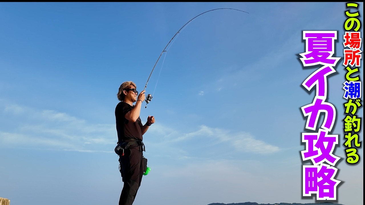 秋イカ目前！夏エギング終盤戦で良型を釣る方法、狙う場所がわかるノーカット実釣公開