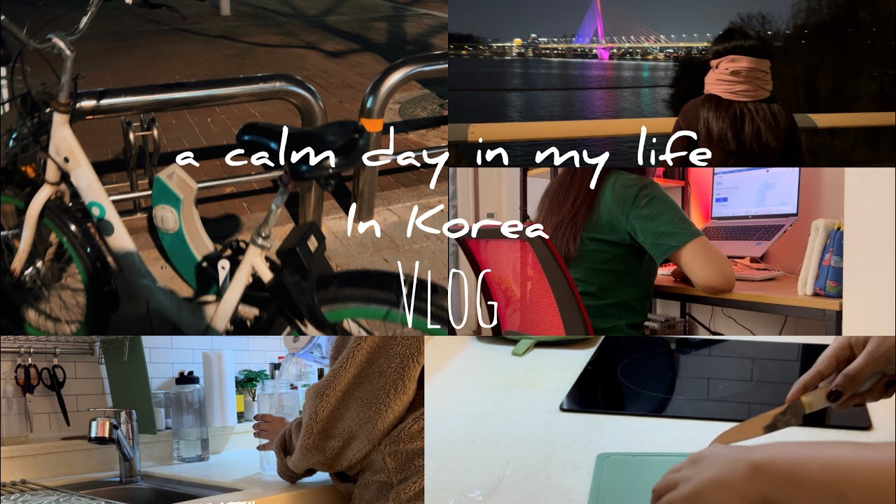 Living alone in Korea | Random day in my life| MBA life | life in Korea | riding bicycle 🇰🇷🧿