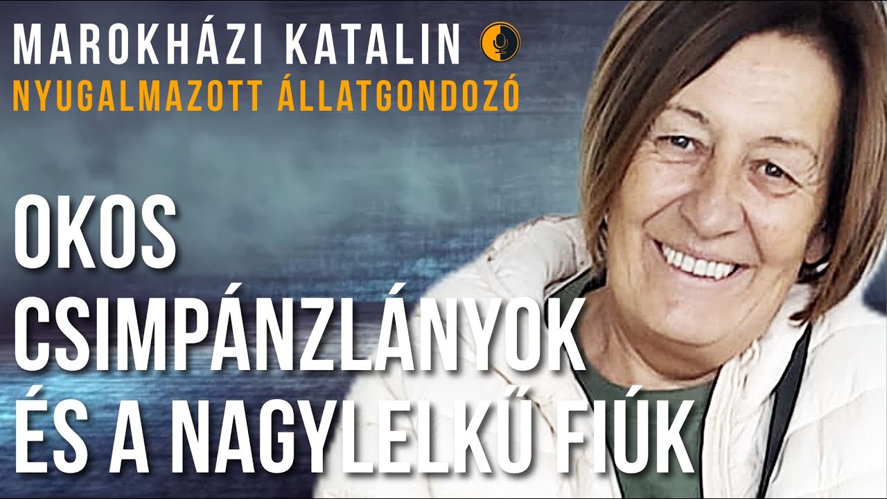 281. epizód: Beszélem a csimpánzok nyelvét (Marokházi Katalin)