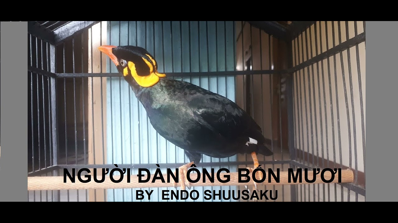 NGƯỜI ĐÀN ÔNG BỐN MƯƠI  - Tác giả  :  Endo Shusaku