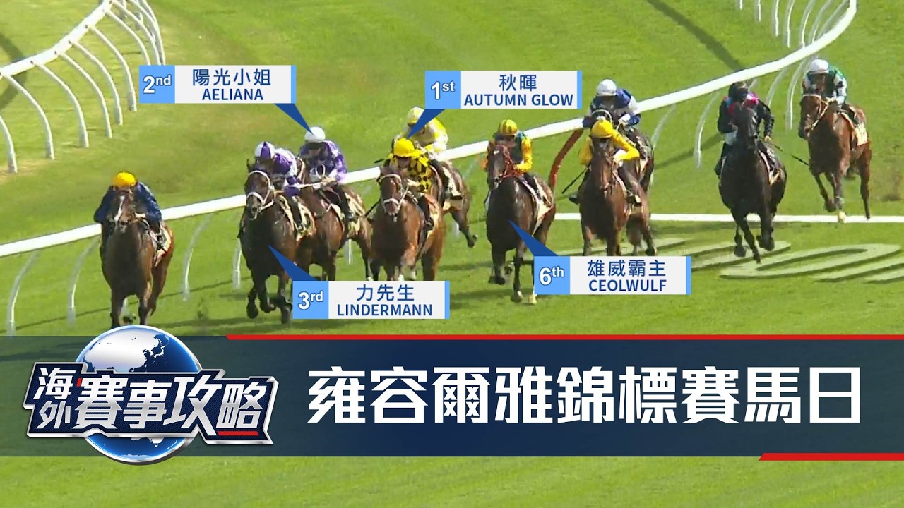 【海外賽事攻略】25/26 #28C – 雍容爾雅錦標賽馬日
