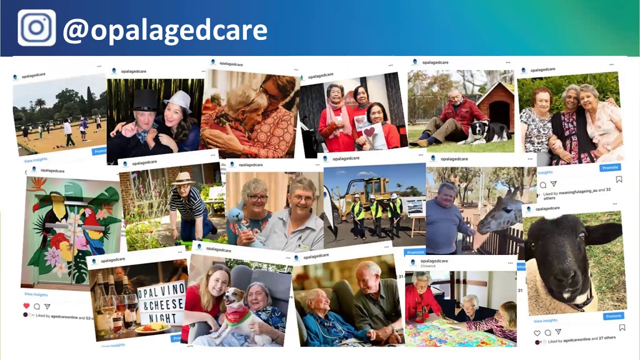 Opal Aged care Information session