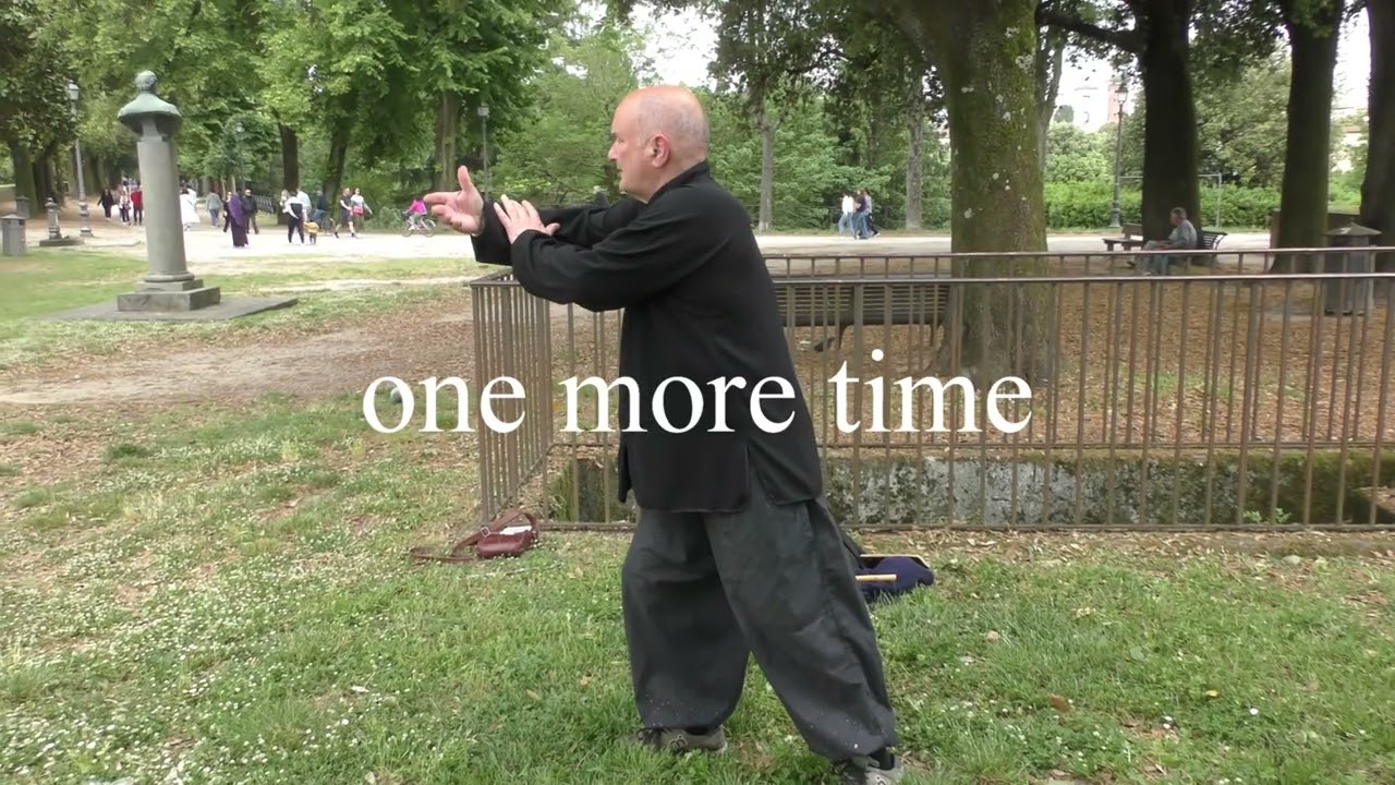 SUN STYLE TAIJI  POWER CONSTRUCTION movie