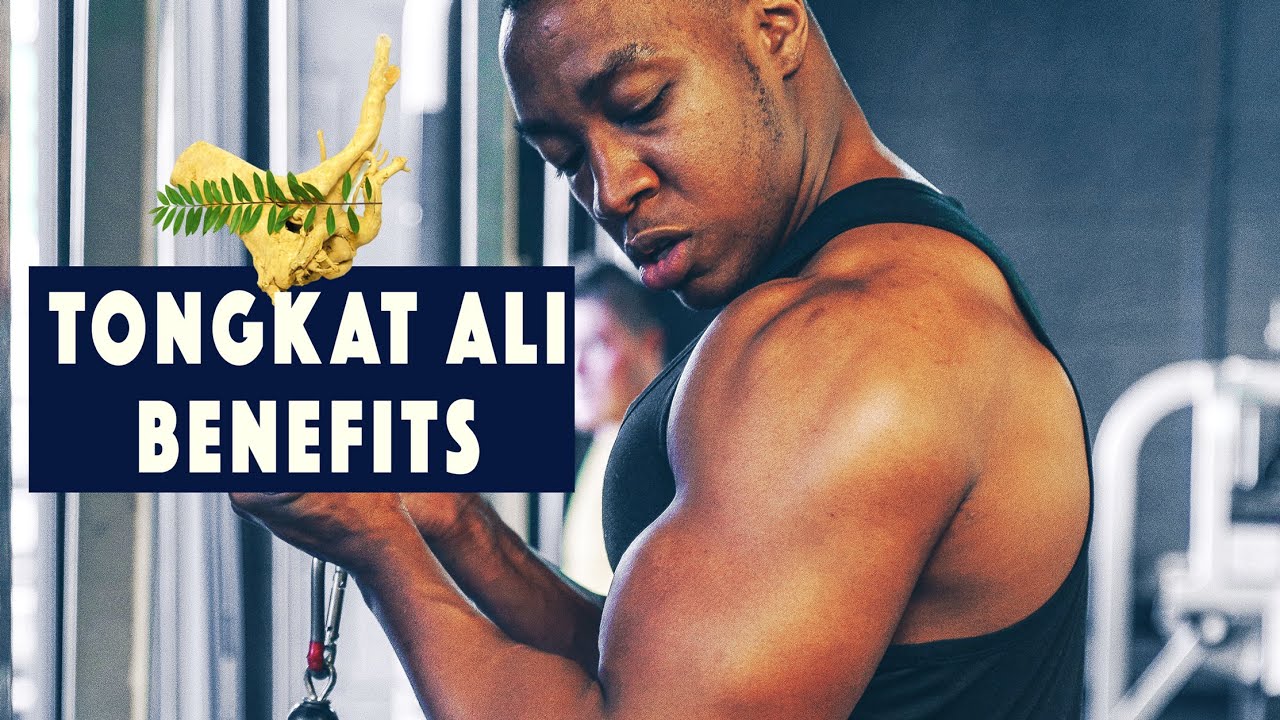 4 BENEFITS OF TONGKAT ALI (& concerns) | Testosterone *Vitaliser for men & women