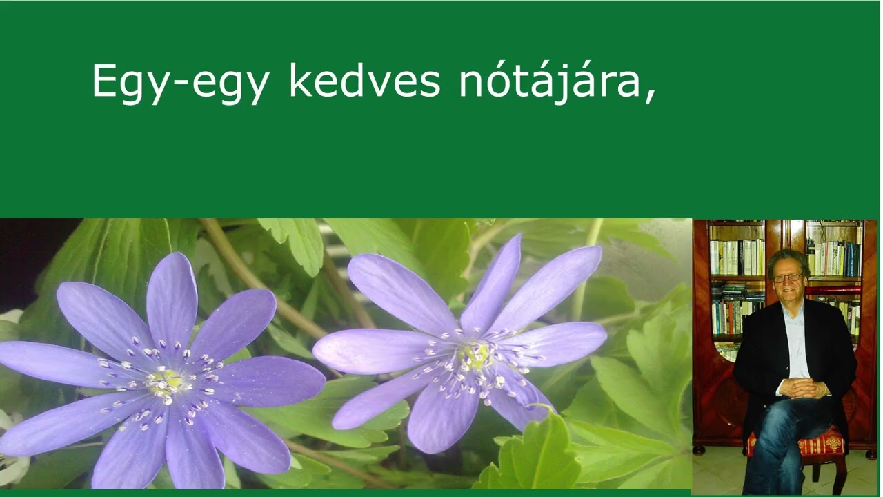 Magyarnóta Karaoke. Nótás kedvü volt volt az apám.