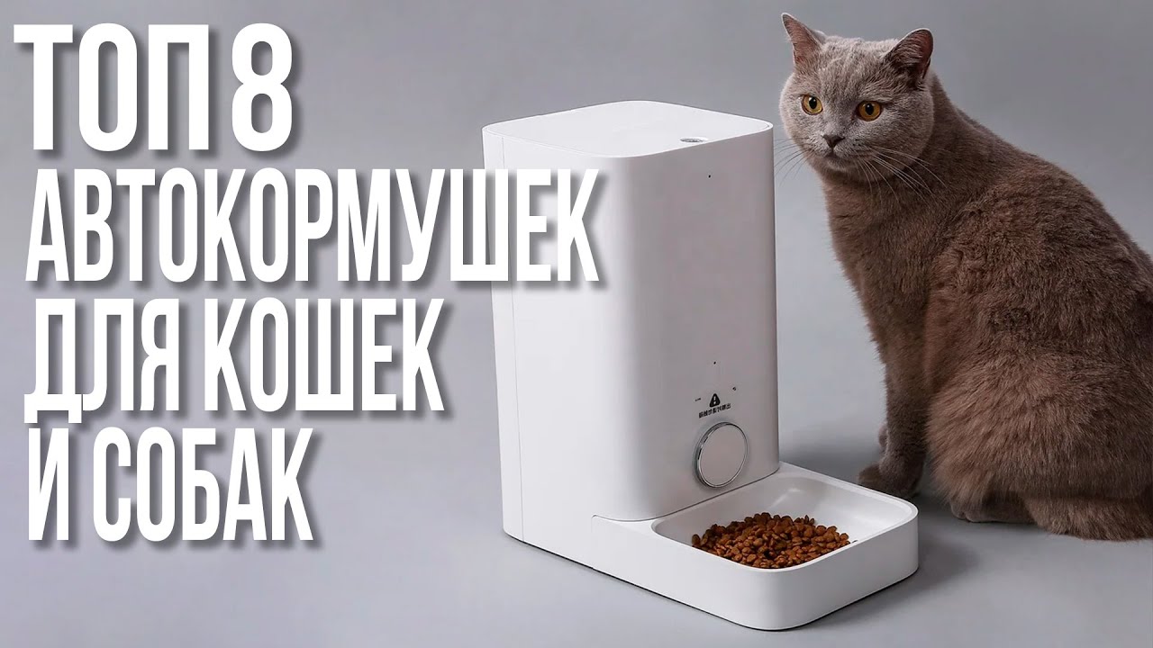 ТОП-8 Автоматических Кормушек для Влажного и Сухого Корма