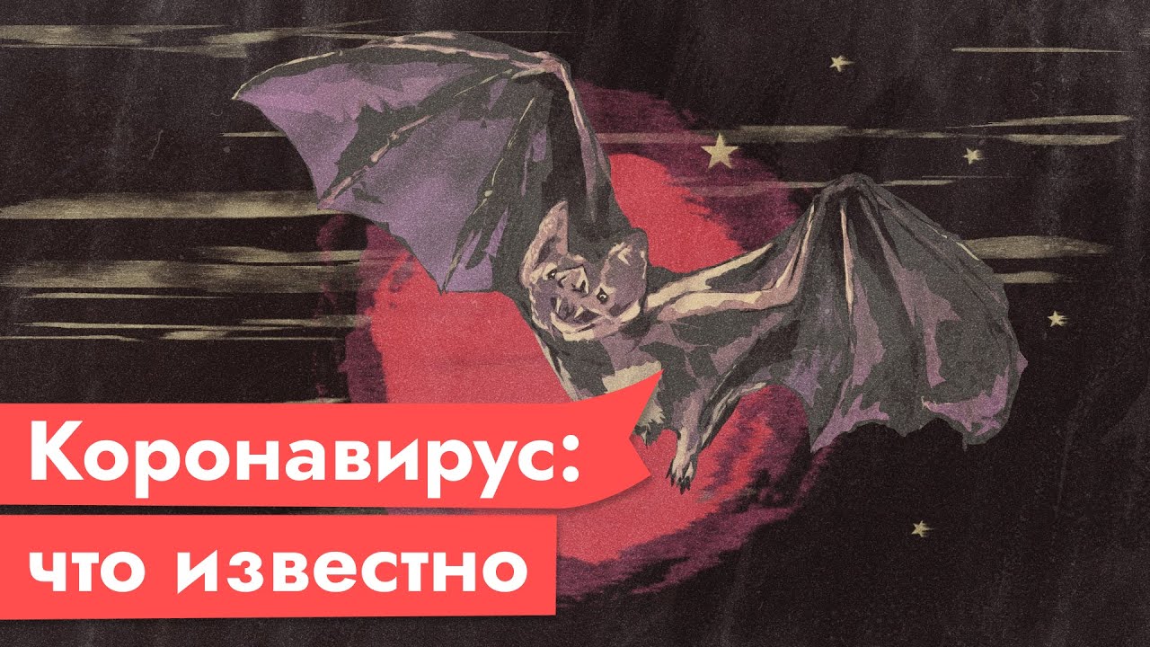 Что известно о коронавирусе сегодня / Максим Кац