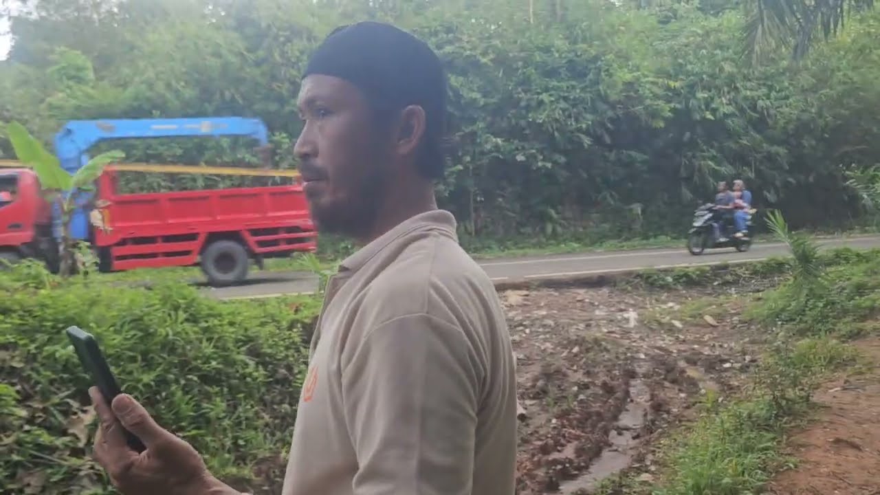 Dijual tanah kebun sawit nempel jalan raya nasional Luas 3 HA harga 100 rb perMeter Legalitas SHM