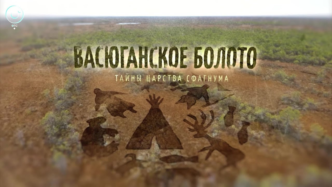 Телепроект 