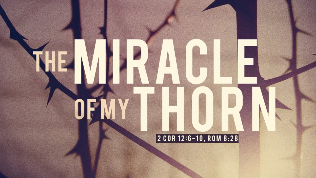 The Miracle Of My Thorn
