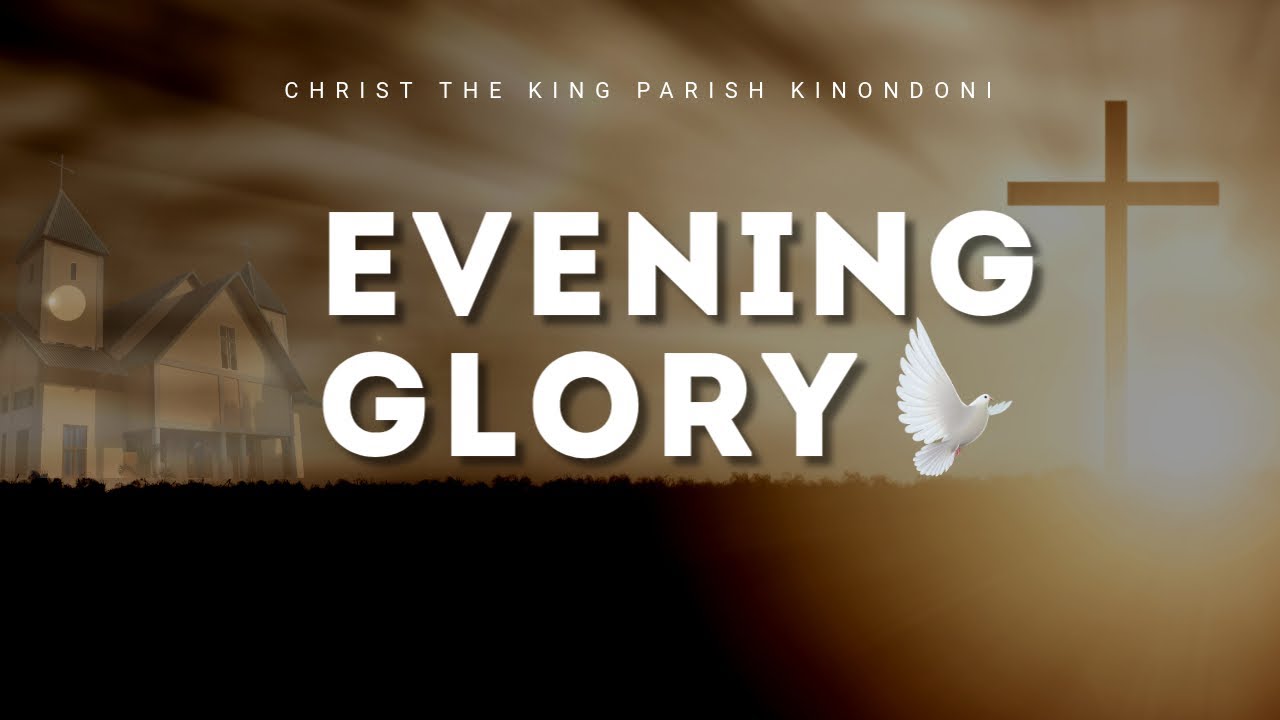 EVENING GLORY  |  11/02/2026