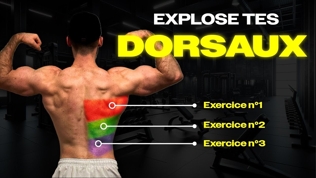 Le guide d’entraînement du grand dorsal ! (Appuyé par la science)