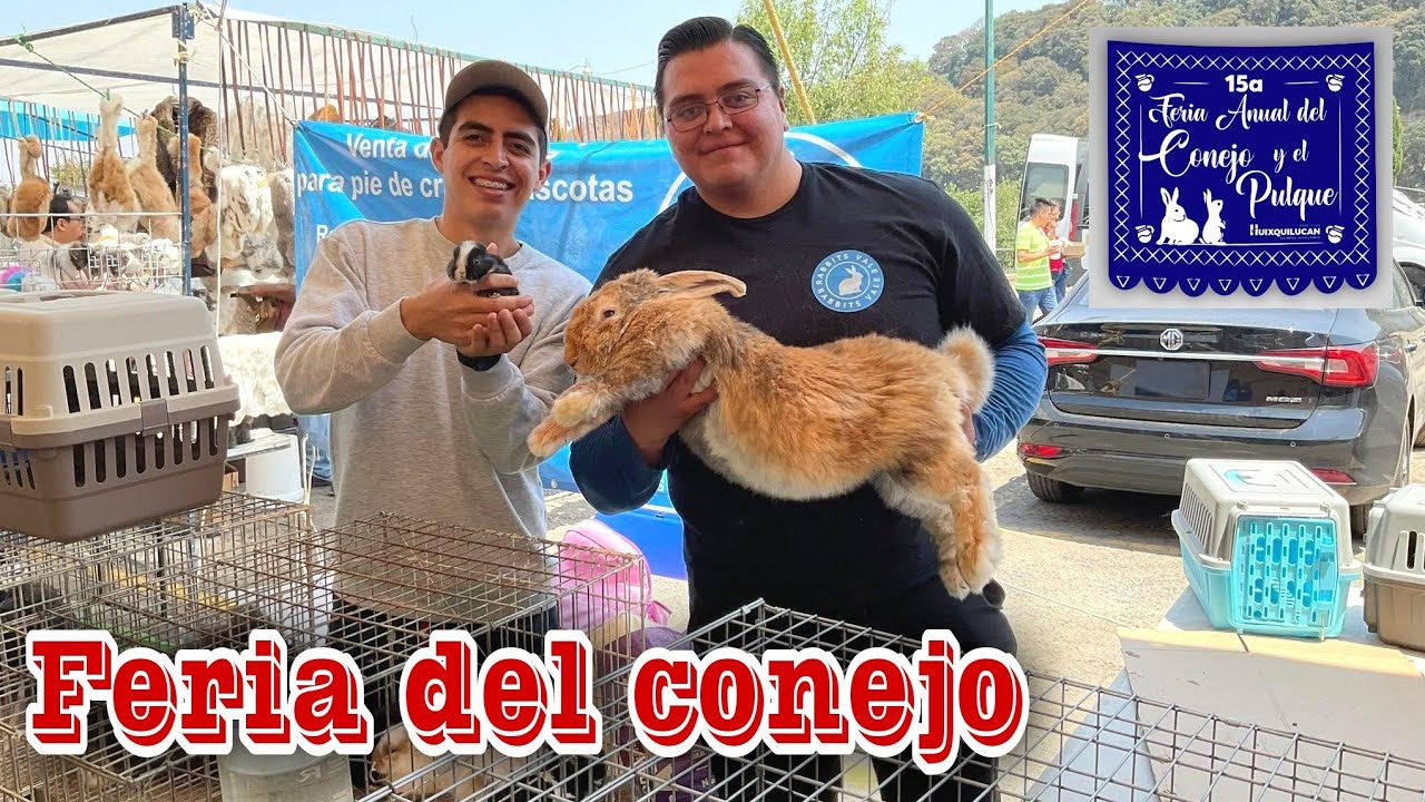 Visitamos la 