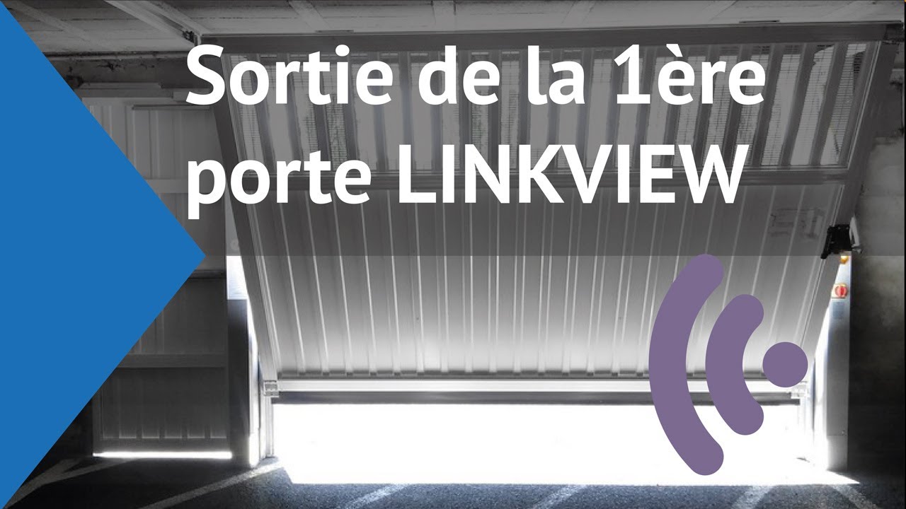 Sortie de la 1ère porte S424 LinkView connectée.