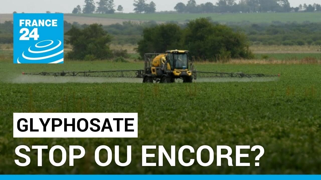 GLYPHOSATE : STOP OU ENCORE? • FRANCE 24