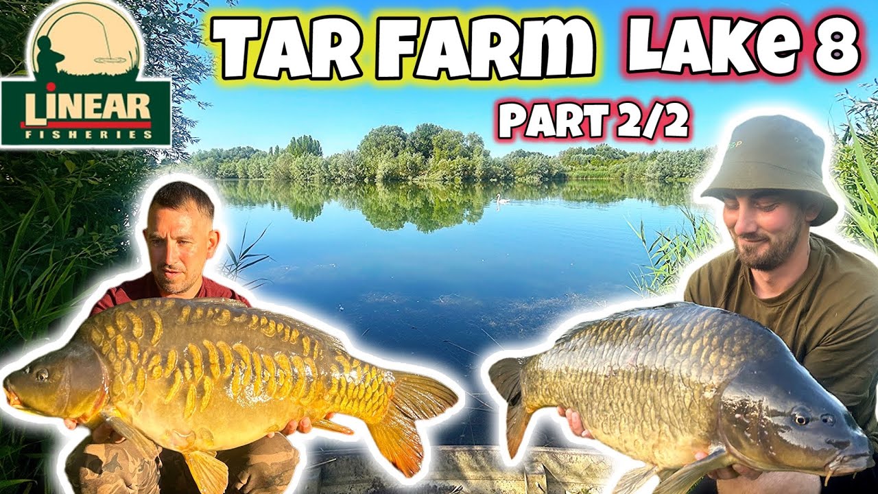 We FOUND the CARP! Tar Farm part 2/2
