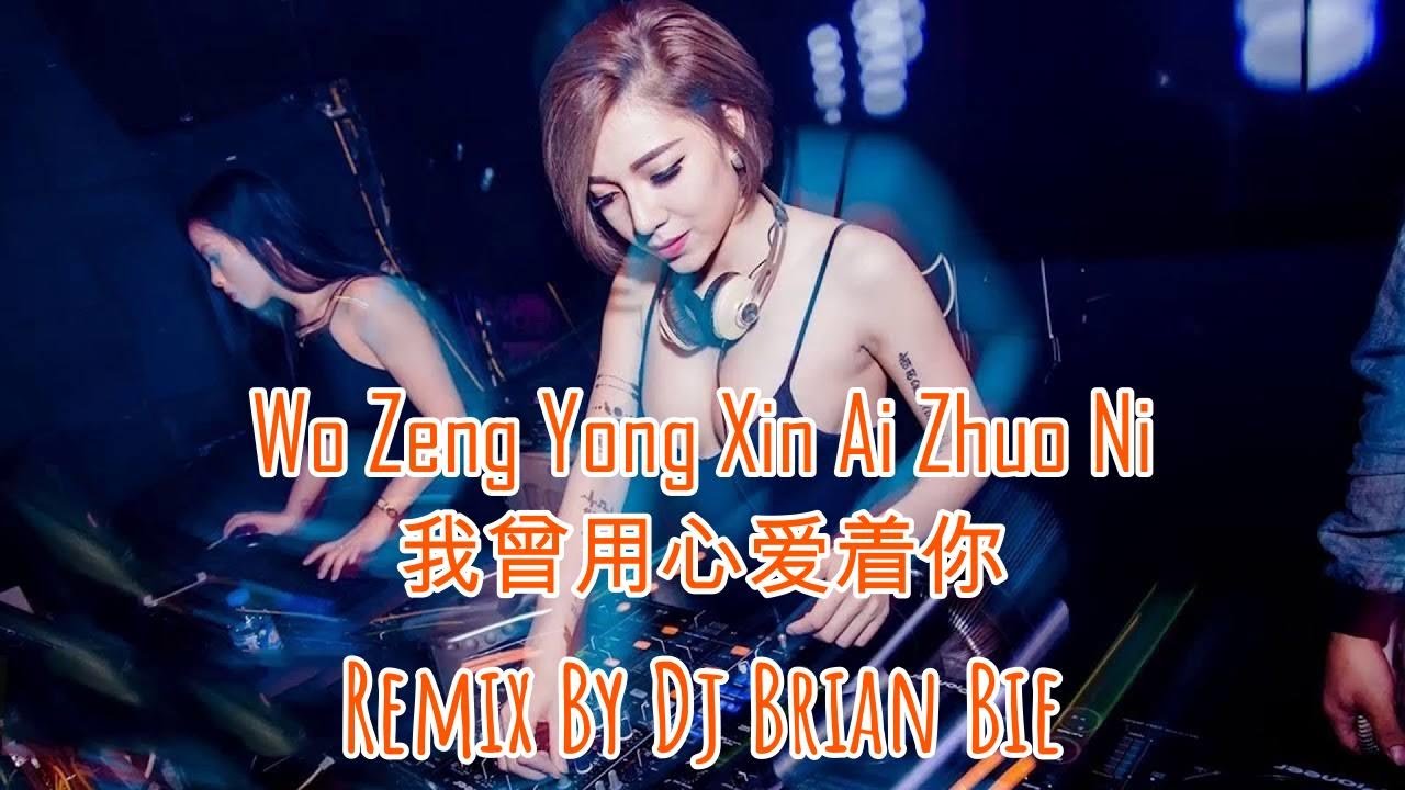 Wo Zeng Yong Xin Ai Zhuo Ni   我曾用心爱着你 (Electro Manyao) By Dj Brian Bie #remixmanyao #dj抖音版2024