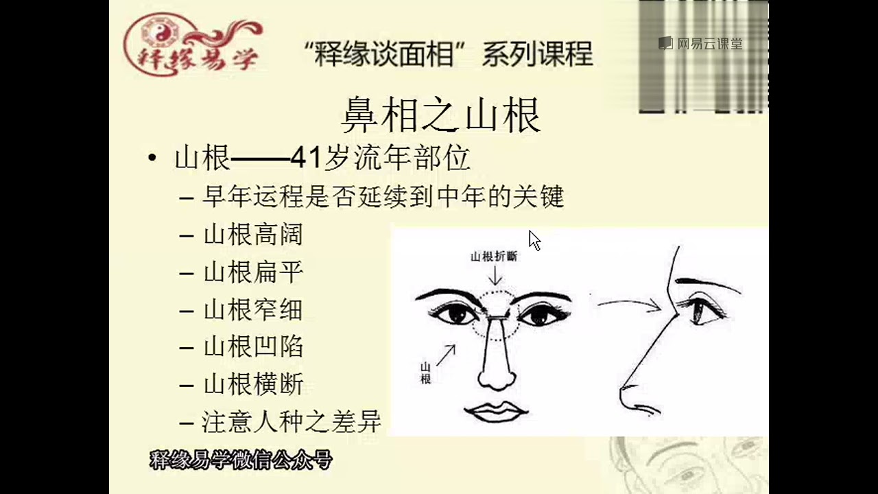 零基础学面相  84 山根（一）
