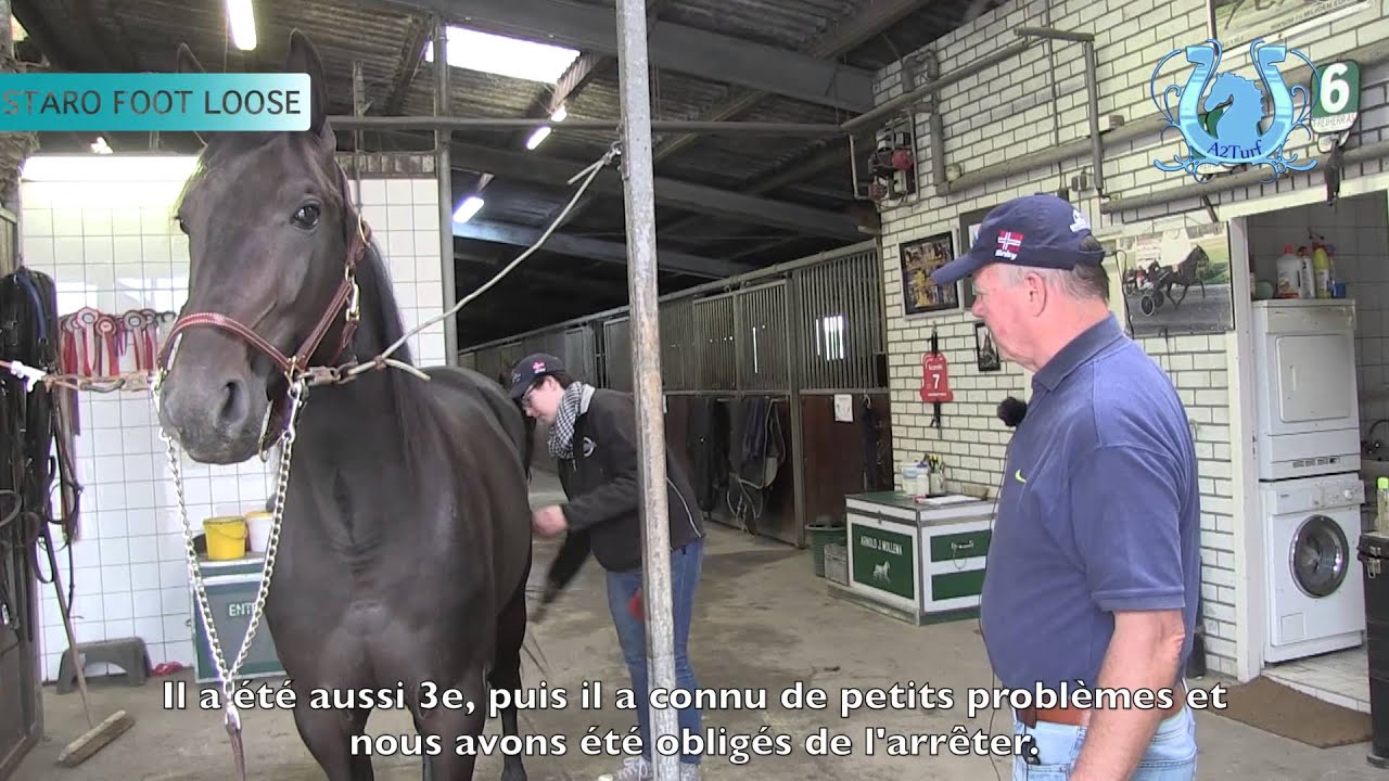 A2TURF - TOUR DE COUR ARNOLD MOLLEMA (2/2)