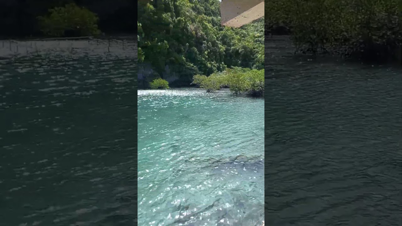 Tinago Island, Tagana-an Surigao del Norte
