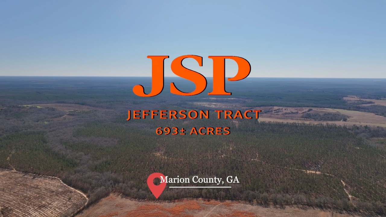 Jefferson Tract - 693± Total Acres - Exceptional Timber Investment - Plantation Pines