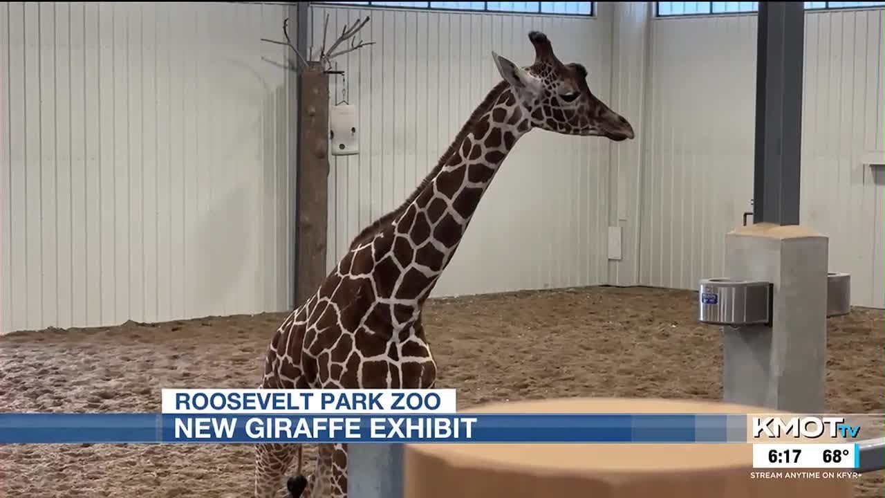 Roosevelt Park Zoo unveils year-round giraffe habitat