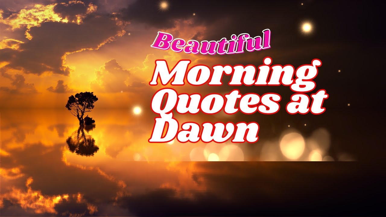 Beautiful Morning quotes for your special one at the golden hour 🏵💌🌻