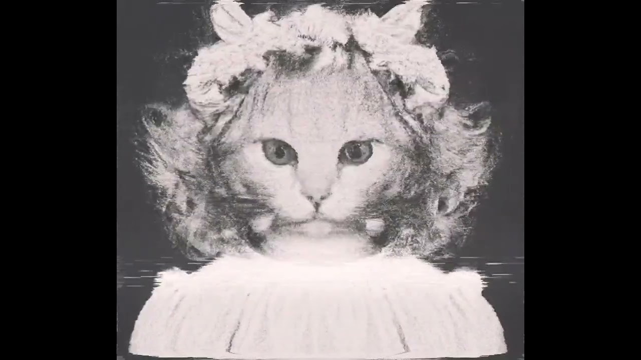 Mr Kitty Lost Children Slowed Reverb