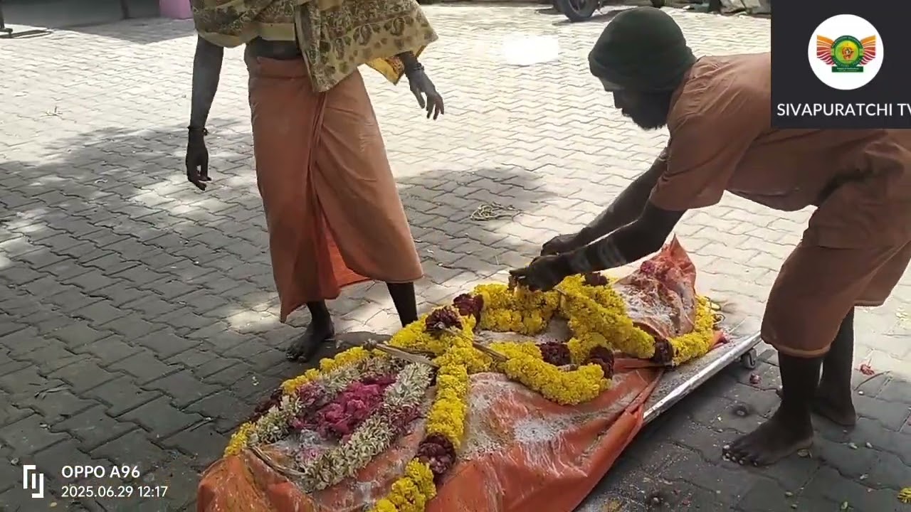 ஆதரவற்றவர்களே நம் சொந்தங்கள் & நம் உறவினர்களும் கூட#mohansadhu #tiruvannamalai