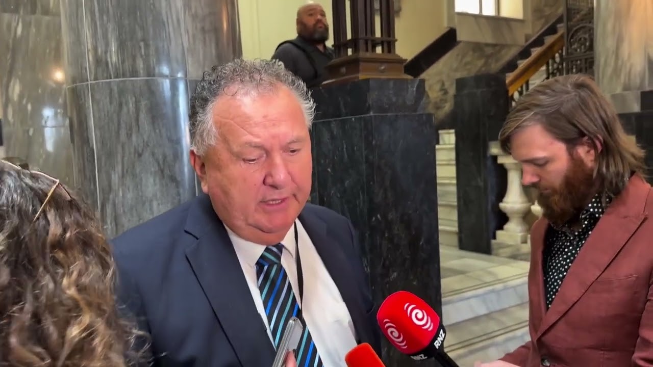 Shane Jones: The vast majority of Māori are just totally over the antics of the Māori Party