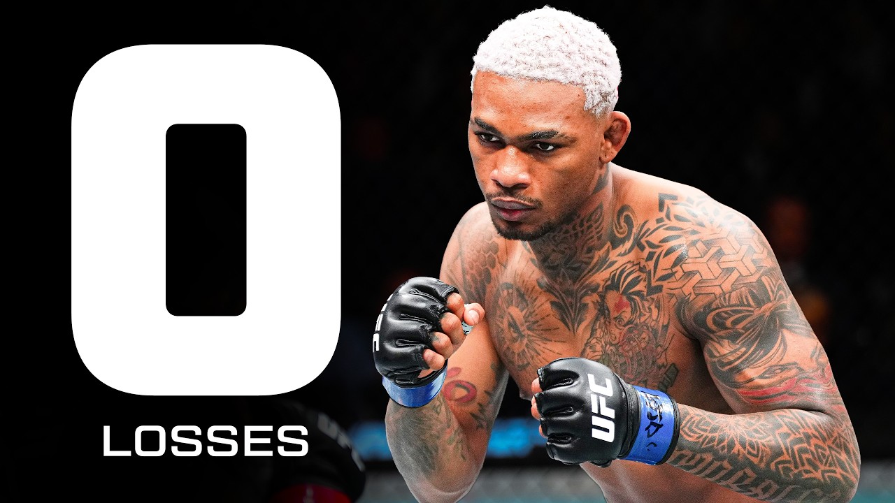 Every Undefeated Fighter In The UFC 🚨
