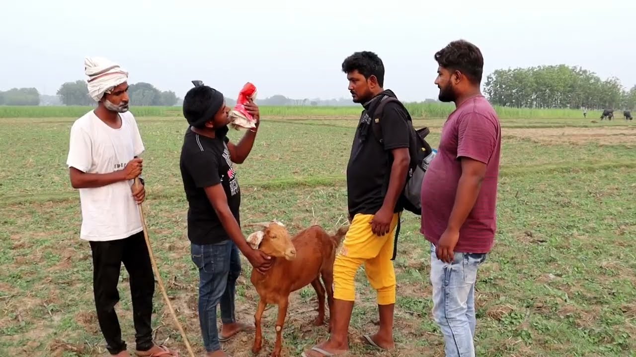 बकरा मालिक और चिकवा ने मुंबई के सेठ को बेवकूफ बनाया //बकरे की खरीदारी |Behtar Samjho