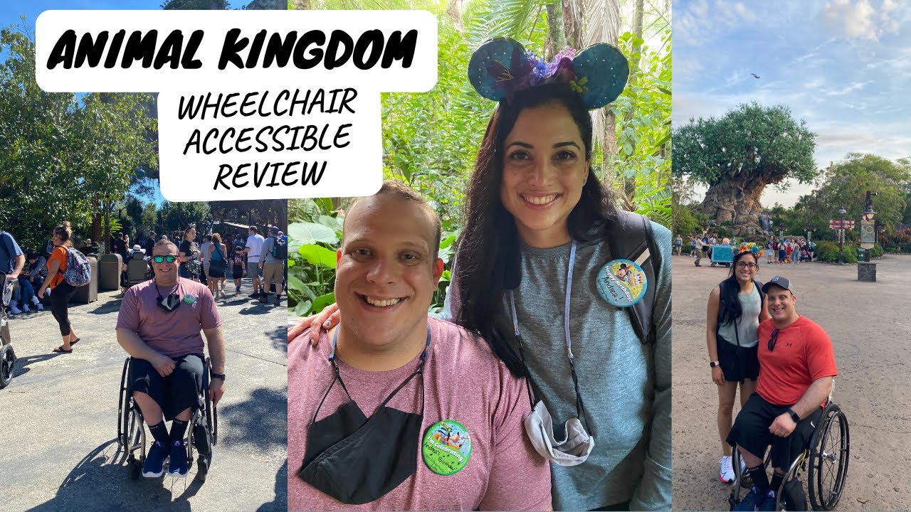 Animal Kingdom | Wheelchair Transfer Tips + Review