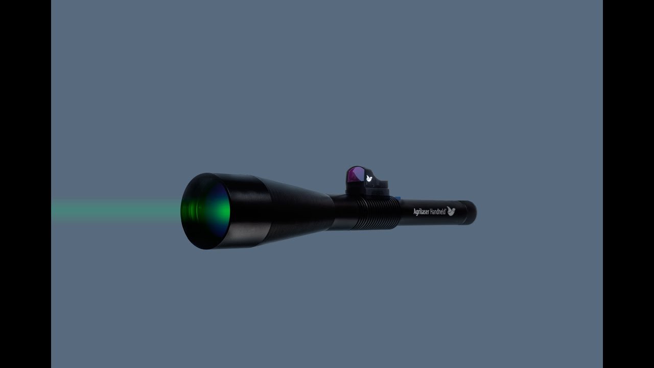 Agrilaser Handheld - Laser Bird Repellent in Action